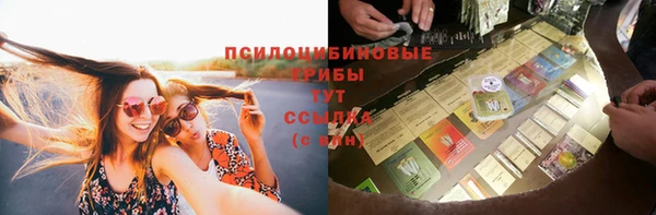 гидропоника Новозыбков