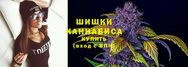 гидропоника Новозыбков