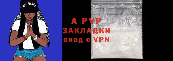 гидропоника Новозыбков