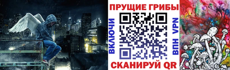 Галлюциногенные грибы Magic Shrooms  Великий Новгород 