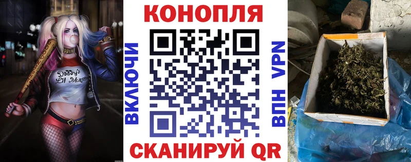 Каннабис ГИДРОПОН  продажа наркотиков  Великий Новгород 